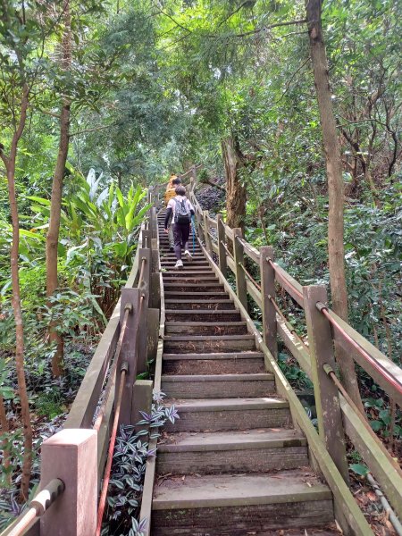 【台中潭子】爬山野餐趣。 新田登山步道x聚興山2899208