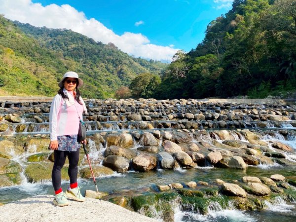 雪山坑登山步道尋巨人2978290
