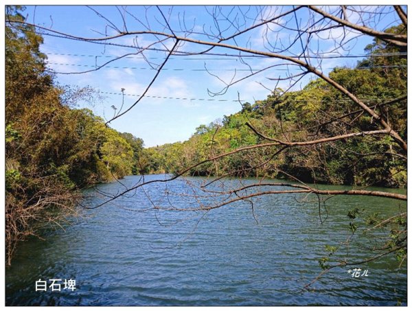 草嶺山、白石山、頭寮山 六連峰 O型路線2798633
