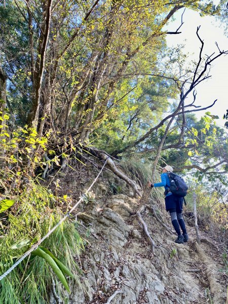 大胡山、聚興山、林牛山O形走    2023.12.242385950