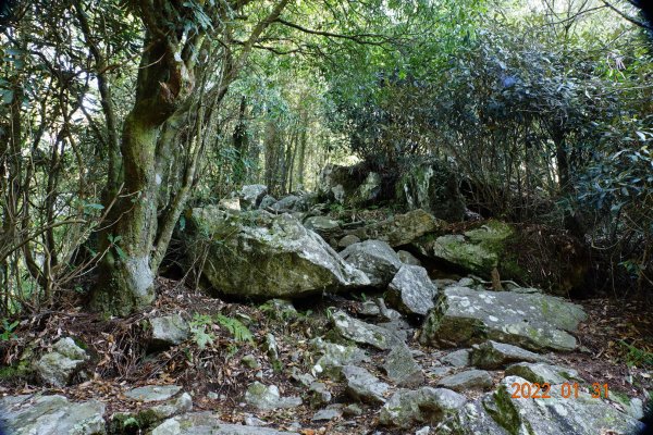 臺中 和平 稍來山1597383