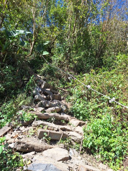 日湯真山202601042978560