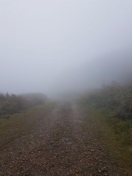 迷霧中的貂山古道202201