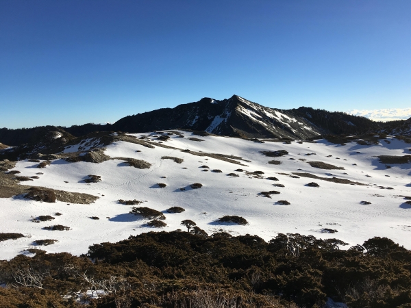 雪季南湖封面