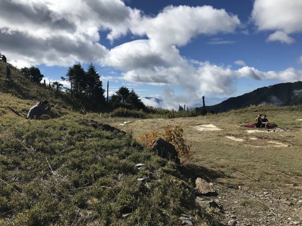 雪山 不下雪533037