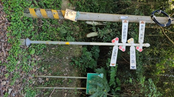 20251117新竹內灣三山四峰(內灣山.麥樹仁山南峰.麥樹仁山.白石湖山)2939884