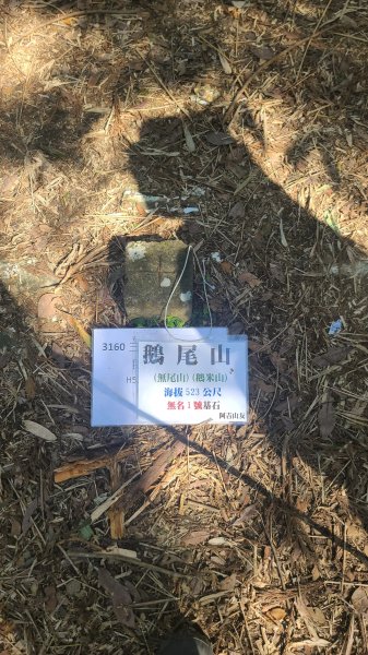 2025-0130溪和宮-大崎頭步道-鵝尾山-平溪步道-鵝尾山水田-42巷-溪山百年古圳-平菁步道2701837