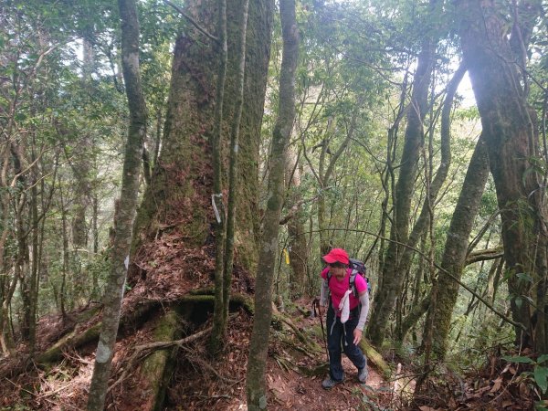 養老山、基那吉山連走1009202