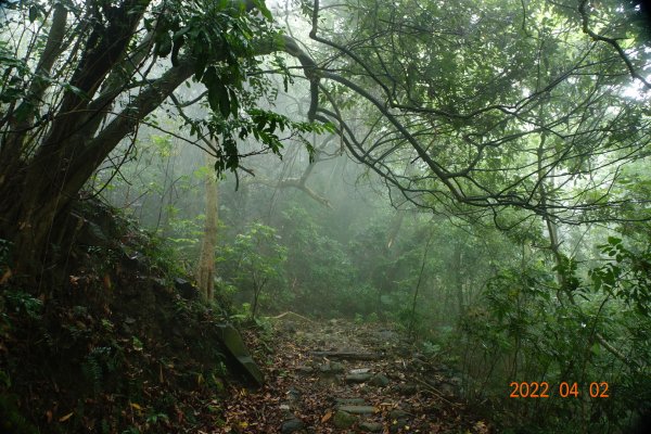 臺南 南化 王爺崙山1664014