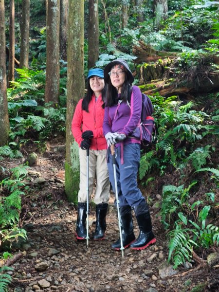 油羅山202503092731879