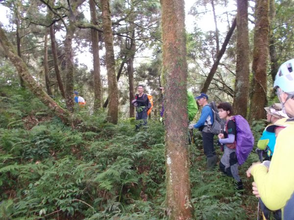 蕃社坑山連走鳳紗山隘勇線1107139