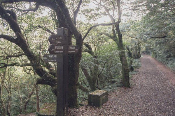 雨鞋登山初體驗-大屯山南峰、大屯山西峰連走1647919