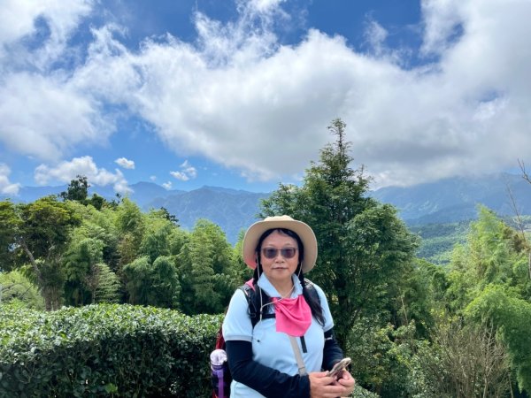 羊彎上武岫大崙山茶園尋山頭2824927