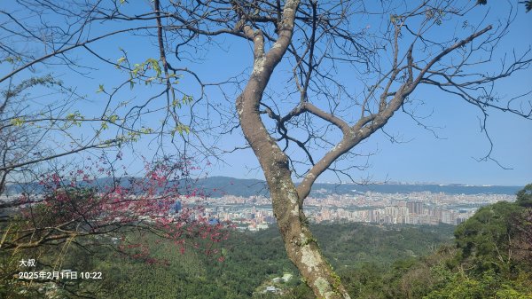 2025-0211造鎮_太極嶺_五城山小段攀爬路線2710736