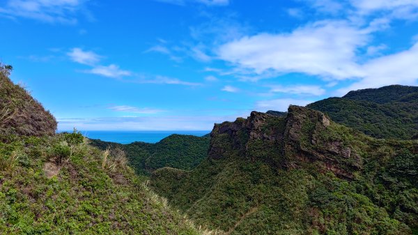 瑞芳小錐麓2714469