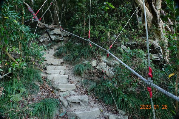 屏東 獅子鄉 里龍山(里隆山、里瀧山、鯉龍山)、下里龍山2018475