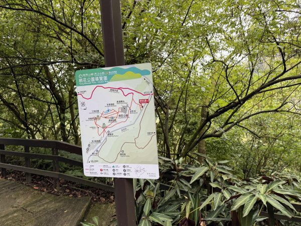 [微笑山線_第四段] 2026_0321 天上山系_天上山3020965