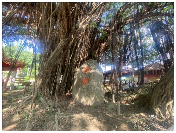 花壇、虎山巖步道3064338