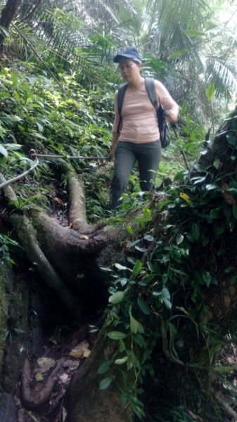 南澳古道及東澳粉鳥林一日遊291164