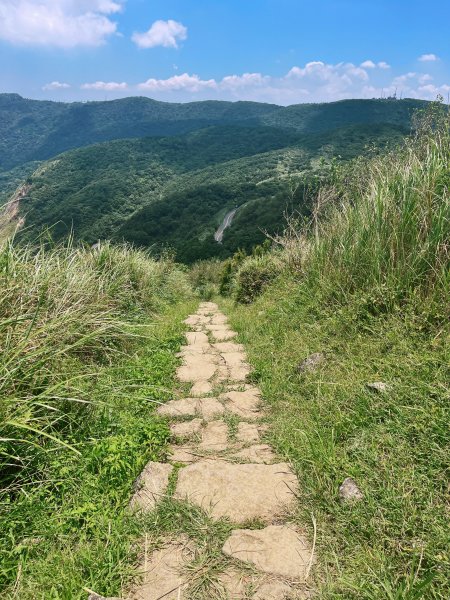 20240803頂山石梯嶺步道2582932