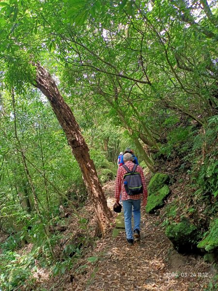 【發現陽明山】頂北投→陽峰古道→陽明山花鐘→陽明書屋→紫明溪步道→竹子湖海芋季2463808