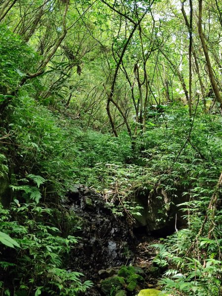 淡蘭古道第三段（我的淡蘭最終章）2838799