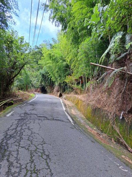 鹿谷小半天七連峰O型走2232569