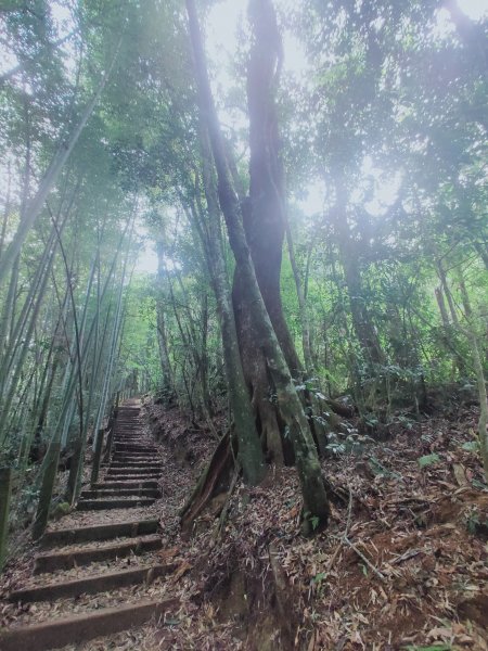 嘉南雲峰、石壁山登山步道1304061