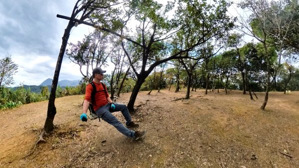 基隆東西天際線縱走(微加強版)2695552