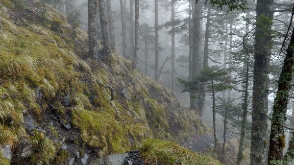 大霸群峰之旅596407