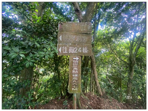 仙山古道群峰、大東勢山、上大窩山 O型縱走3060949