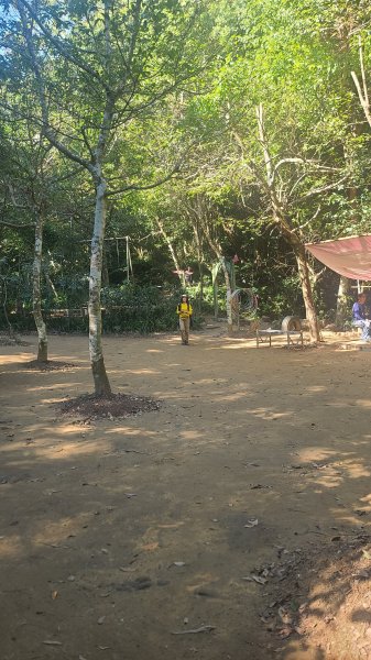 2026-0114溪州山小百岳2984879