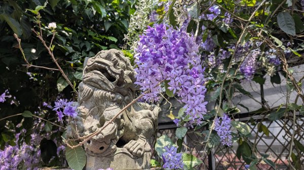 115.04.12金平山西峰-蝙蝠洞之旅3034694