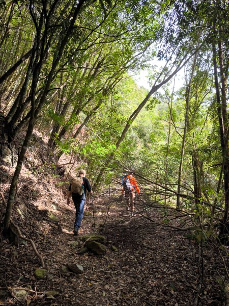 2026-01-18 埔里關刀山2989574