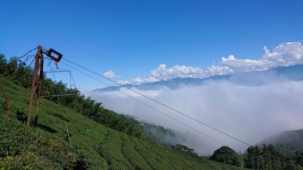 20201108雲嘉五連峰1625522