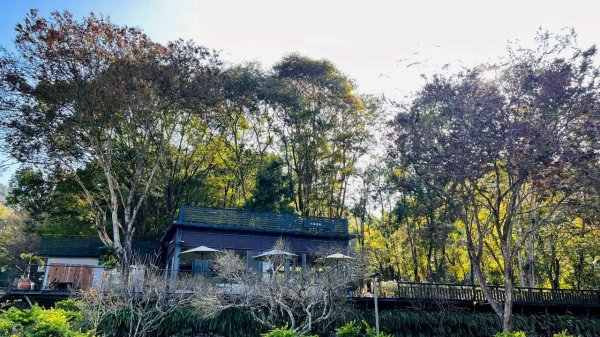 🌈12/25（日）聖誕節~小百岳大橫屏山~雲海☁️滿滿+行者咖啡館+糯米橋✨FB：熊熊趴爬走🌈2969983