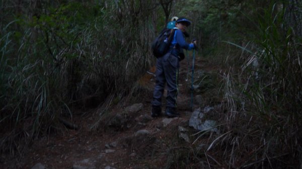 池有山單攻登山健行趣(百岳52)1515150