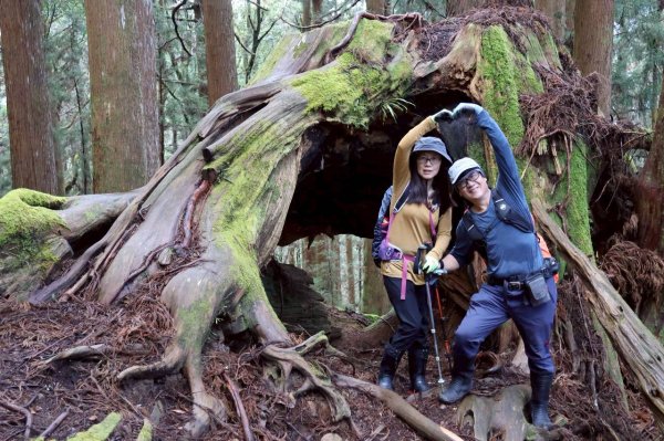 神阿縱走~台灣難抵極~大塔山2971928