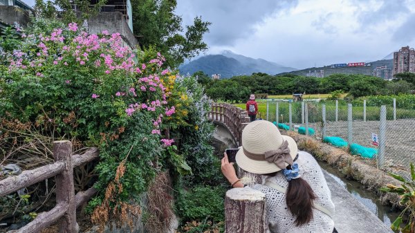 關渡花海,大龍峒孔廟,保安宮,迪化街2345344