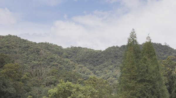福山植物園-生態天堂1088788