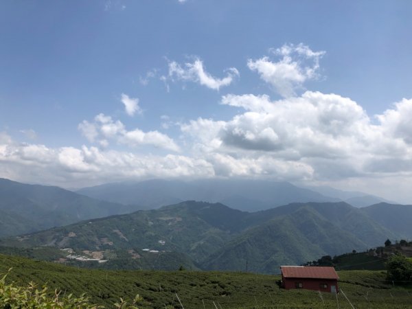 2020.04.15 南東眼山919283