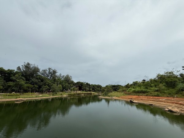 大湳森林公園2860332