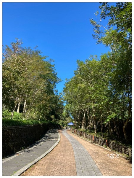 鳳凰谷鳥園步道2695887