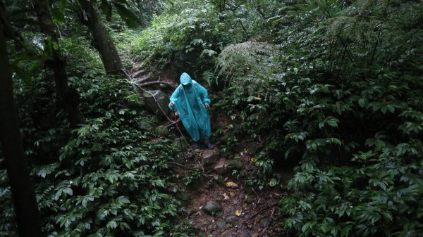 雙石縱走登山健行趣(小百岳24號&25號)2169510