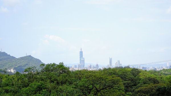 土白公路版1662767