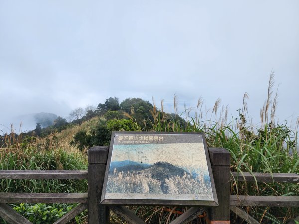 小百岳No.11⛰姜子寮山2430106