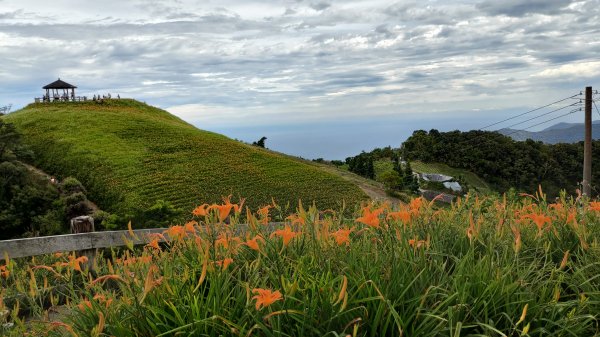 太麻里山封面