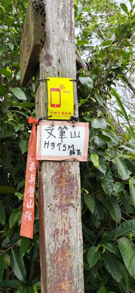 2026-0307 造鎮-文筆山-天華山-南勢角山-蘭花亭-牛伯伯3015831