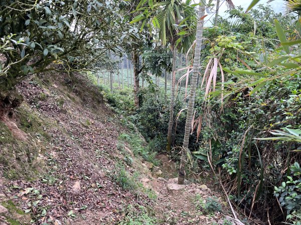 2023_0429_挑筍古道2138228