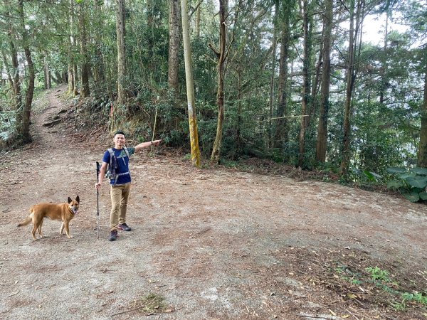 望鄉部落.獵人古道.望美山.瓊山【人與自然山林的恩怨情仇】2731376